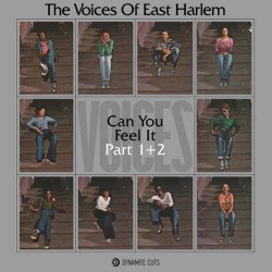 Виниловая пластинка The Voices Of East Harlem - Can You Feel It (7inch)