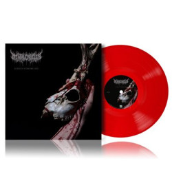 Виниловая пластинка Cruelty, Mental - Echoes Of A Forlorn Land (LP)