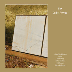Виниловая пластинка Carlos Ferreira - Flux