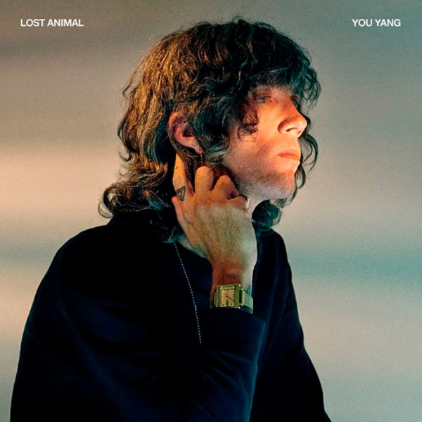 Виниловая пластинка Lost Animal - You Yang
