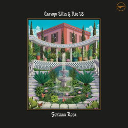 Виниловая пластинка Carwyn Ellis &amp; Rio 18 - Fontana Rosa
