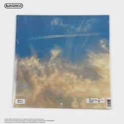 Виниловая пластинка Thirty Seconds To Mars - Its The End Of The World But Its A Beautiful Day (LP) оранжевый винил