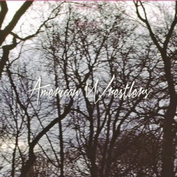 Виниловая пластинка American Wrestlers - I Can Do No Wrong / The Rest O