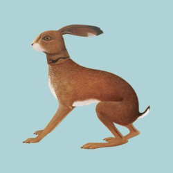Виниловая пластинка Vashti Bunyan - Lookaftering – Expanded Edition