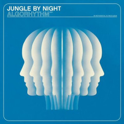 Виниловая пластинка Jungle By Night - Algorhythm