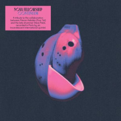 Виниловая пластинка Nova Fellowship - Continuum (LP)