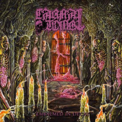 Виниловая пластинка Carnal Tomb - Embalmed In Decay