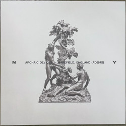 Виниловая пластинка The Haxan Cloak - N/Y