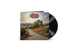 Виниловая пластинка The Doobie Brothers - Walk This Road (Европа)