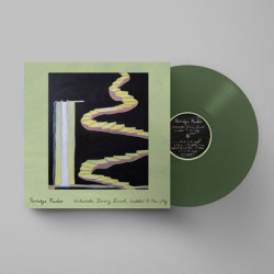 Виниловая пластинка Porridge Radio - Waterslide, Diving Board, Ladder To The Sky (forest зелёный винил)