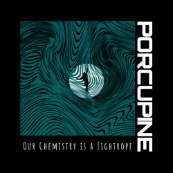 Виниловая пластинка Porcupine - Our Chemistry Is A Tightrope
