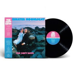 Виниловая пластинка The Soft Boys - Underwater Moonlight (45Th Anniversary Remaster)