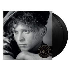 Виниловая пластинка Simply Red - Recollections (2LP)
