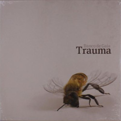 Виниловая пластинка Banco de Gaia - Trauma