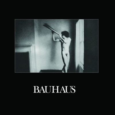 Виниловая пластинка Bauhaus - In The Flat Field