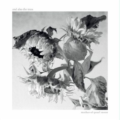 Виниловая пластинка And Also The Trees - Mother-Of-Pearl Moon