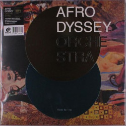Виниловая пластинка Afrodyssey Orchestra - Under The Sun