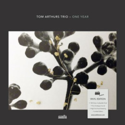 Виниловая пластинка Tom Arthurs Trio - One Year