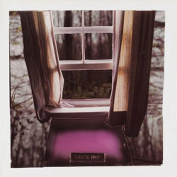 Виниловая пластинка Eric'S Trip - Forever Again