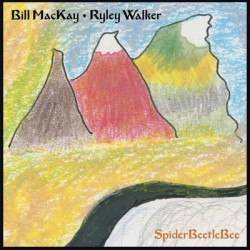 Виниловая пластинка Bill Mackay &amp; Ryley Walker - Spiderbeetlebee