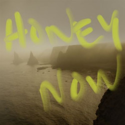 Виниловая пластинка Neon Waltz - Honey Now