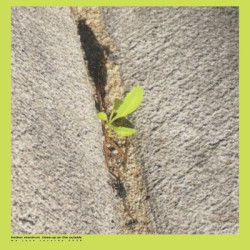 Виниловая пластинка Booker Stardrum - Close-up On The Outside