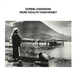 Виниловая пластинка Normil Hawaiians - More Wealth Than Money