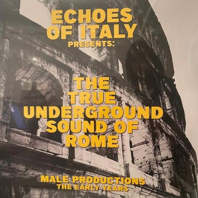 Виниловая пластинка The True Underground Sound Of Rome - Male Productions - The Early Years