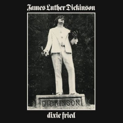 Виниловая пластинка James Luther Dickinson - Dixie Fried