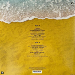 Виниловая пластинка Bossa n'Adele - The Electro-Bossa Songbook Of Adele (LP) жёлтый винил