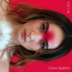 Виниловая пластинка Ann Liu Cannon - Clever Rabbits