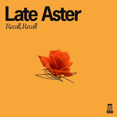Виниловая пластинка Late Aster - Recall, Recall (LP)
