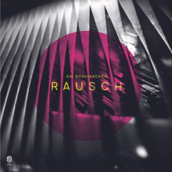 Виниловая пластинка Kai Schumacher - Rausch