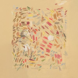 Виниловая пластинка Jeremiah Chiu - Edge Conditions (LP)