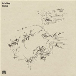 Виниловая пластинка Eyvind Kang - Riparian