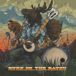 Виниловая пластинка Various Artists - Burn On The Bayou: Heavy Underground Tribute To Creedence Clearwater Revival (3Lp)