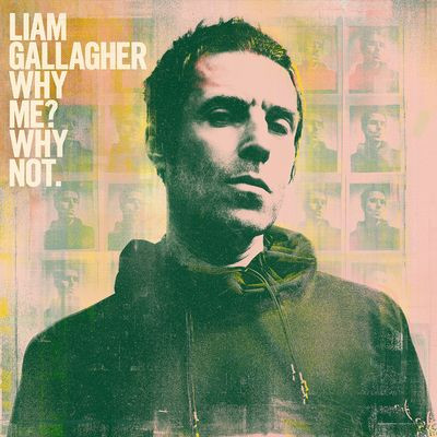 Виниловая пластинка Gallagher, Liam - Why Me? Why Not. (1LP)
