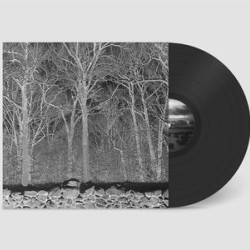 Виниловая пластинка Pile - Sunshine And Balance Beams