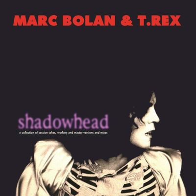 Виниловая пластинка Marc Bolan & T. Rex - Shadowhead (180g Black Vinyl)