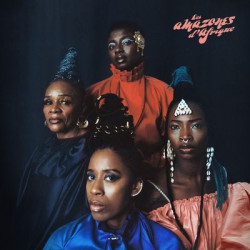 Виниловая пластинка Les Amazones D'Afrique - Musow Danse