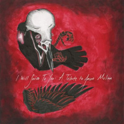 Виниловая пластинка Various Artists - I Will Swim To You: A Tribute To Jason Molina