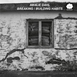 Виниловая пластинка Amalie Dahl - Breaking/Building Habits