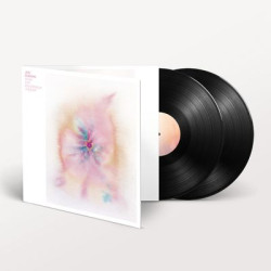 Виниловая пластинка Jon Hopkins - Music For Psychedelic Therapy
