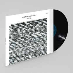 Виниловая пластинка Tord Gustavsen Trio - Tord Gustavsen Trio - Seeing