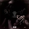 Виниловая пластинка Slipknot - We Are Not Your Kind (2LP) Clear