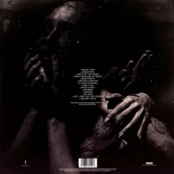 Виниловая пластинка Slipknot - We Are Not Your Kind (2LP) Clear