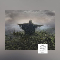 Виниловая пластинка Gazelle Twin - The Wastelands
