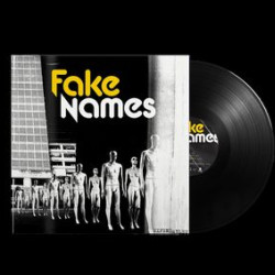 Виниловая пластинка Fake Names - Expendables