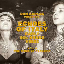Виниловая пластинка Various Artists - Echoes Of Italy - Early 90s House Vibes Vol.2 - The Birds Of Paradise
