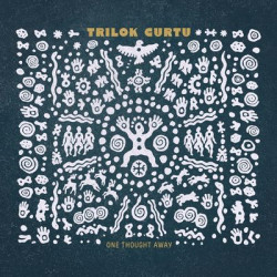 Виниловая пластинка Trilok Gurtu - One Thought Away